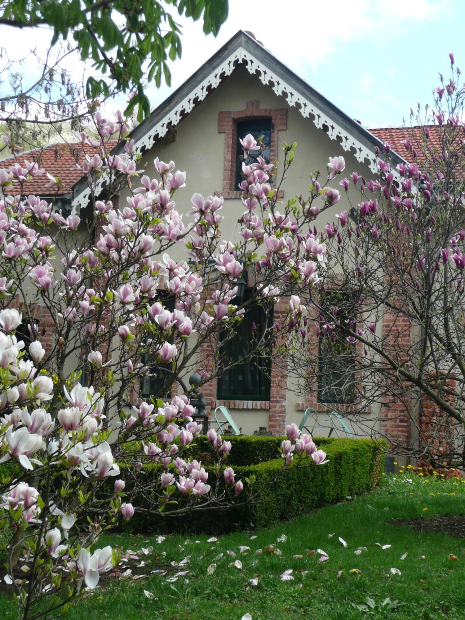 Bed and Breakfast Au Fond De La Cour Veyre-Monton Esterno foto